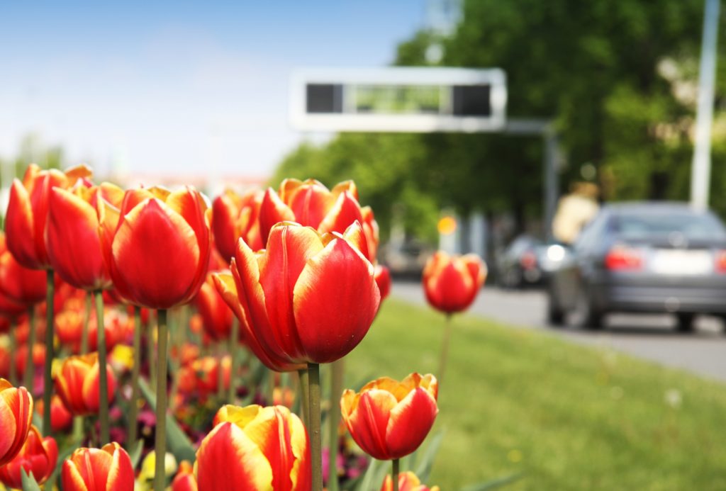 spring auto care and maintenance